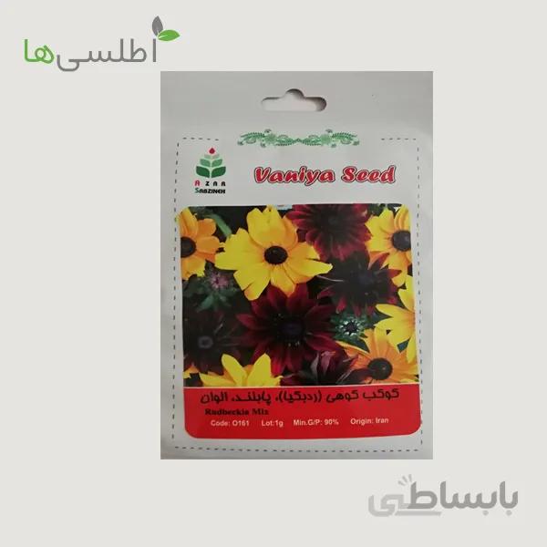 بذر کوکب کوهی (ردبکیا)