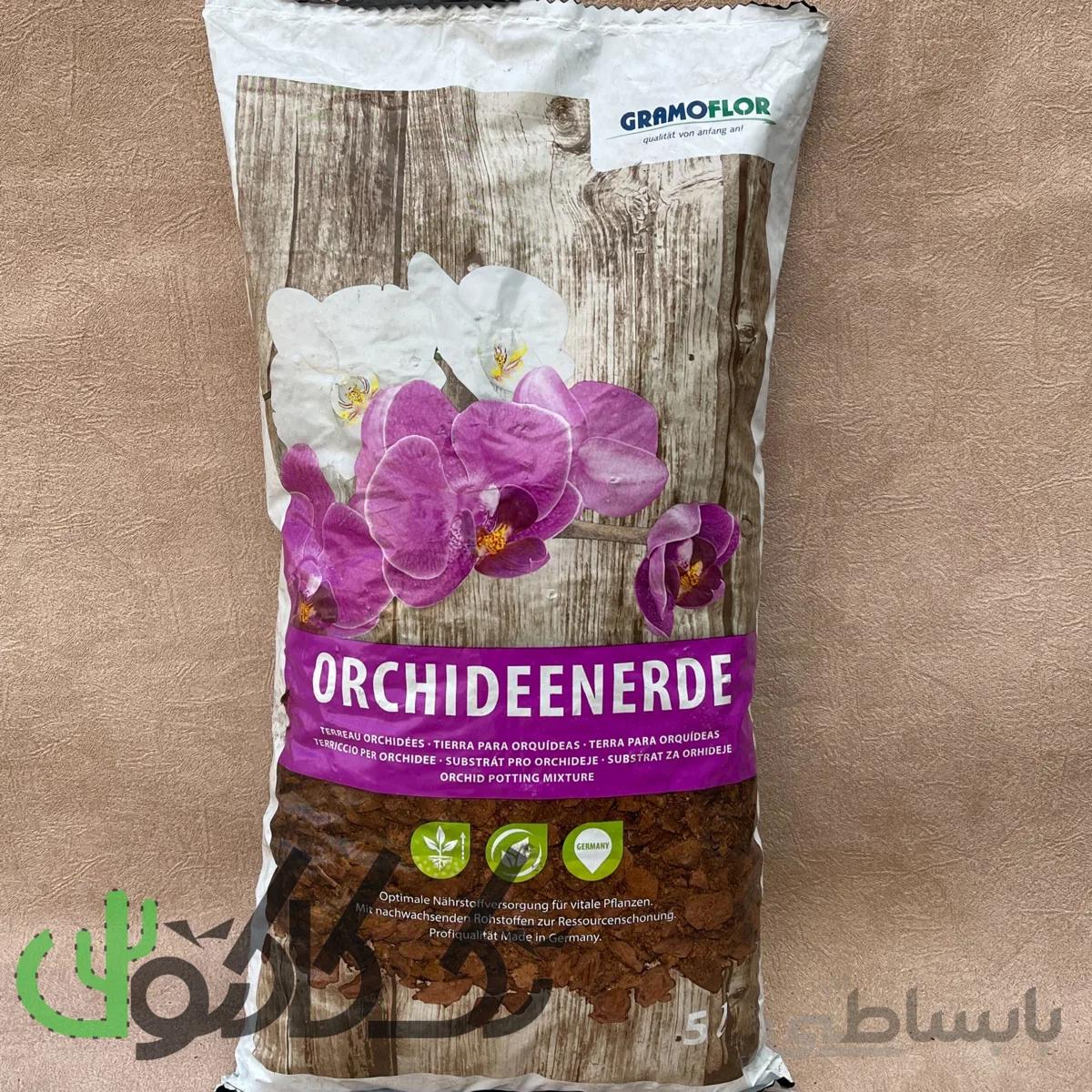 خاک ارکیده گراموفلور (گرامافلور)