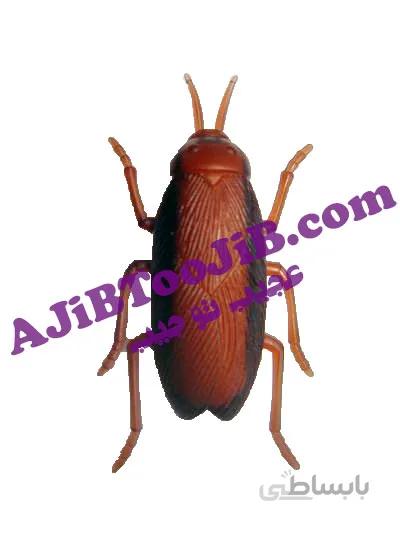 سوسک رباتیک (راه رونده)