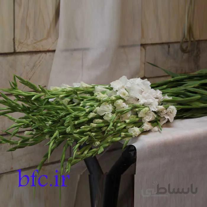 دسته گلایل