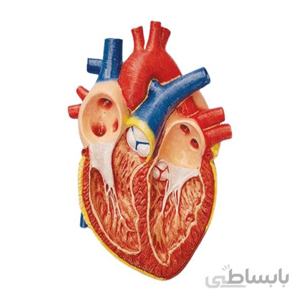 مولاژ قلب دیواری