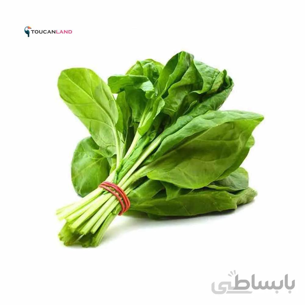 بذر شاهی کد 331309