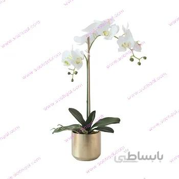 گل ارکیده تک شاخه ORK06