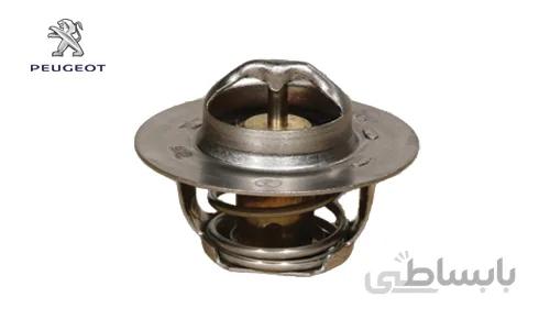 ترموستات پژو 405