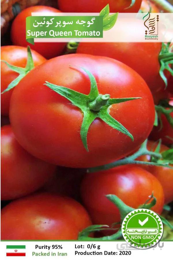 بذر گوجه فرنگی سوپر کویین