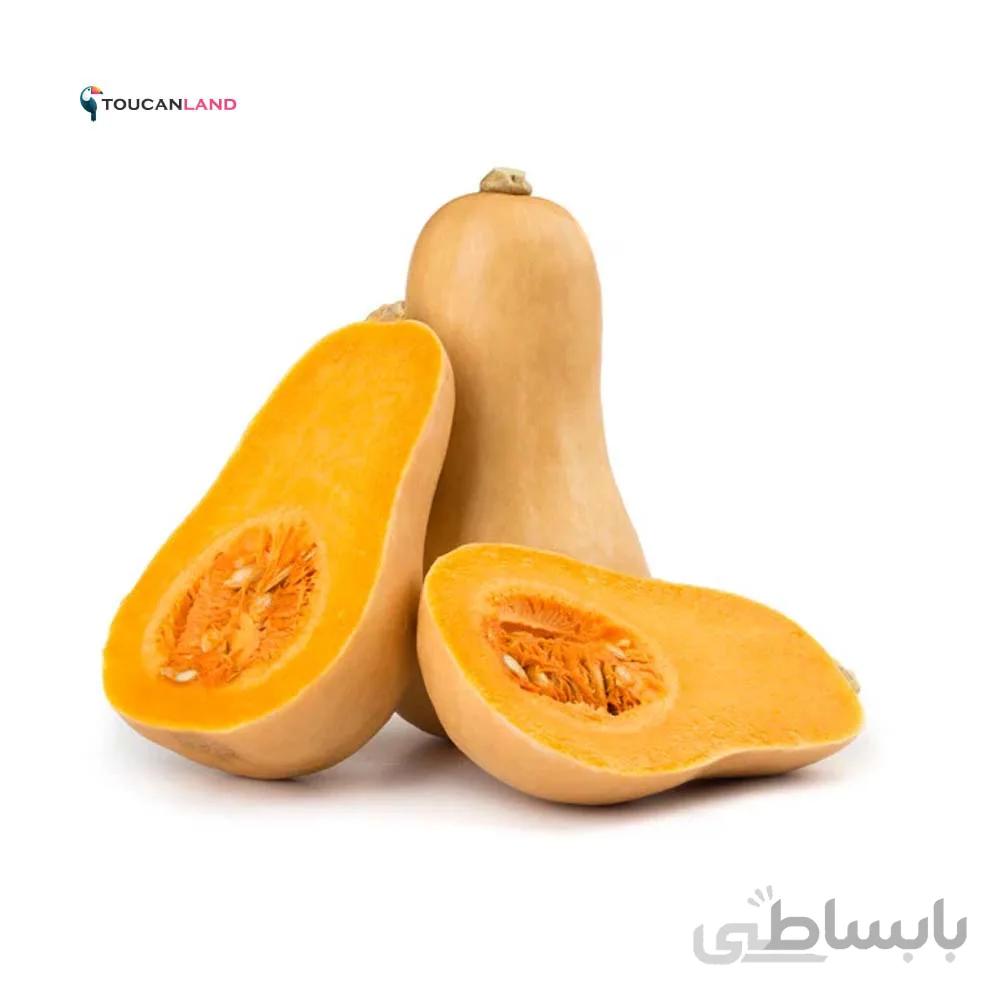 بذر کدو رشتی