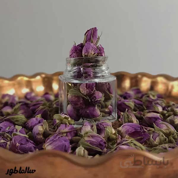 غنچه گل محمدی کد 519866