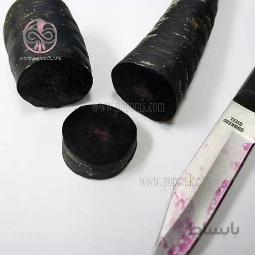 بذر هویج سیاه