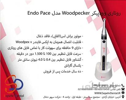 روتاری وودپیکر Woodpecker مدل Endo Pace