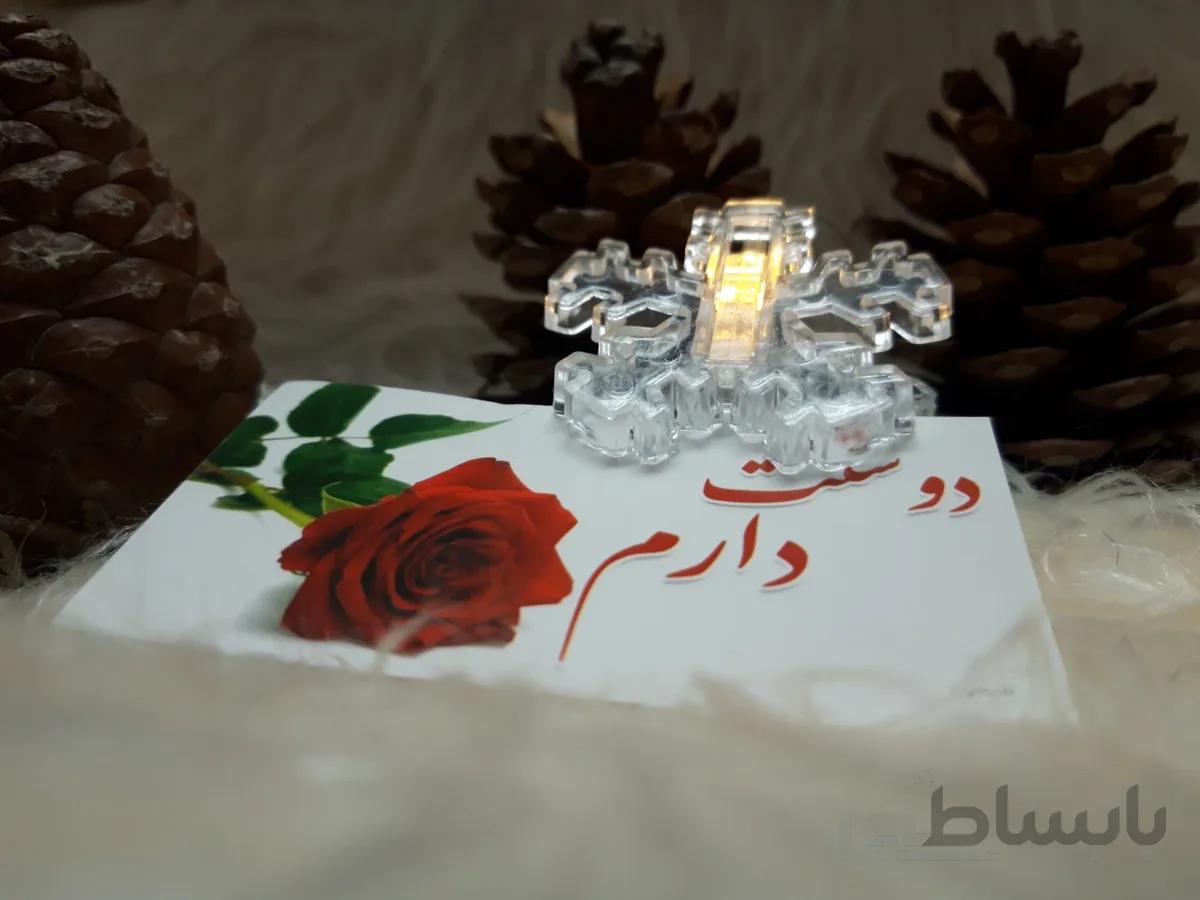 ریسه گیره برفی