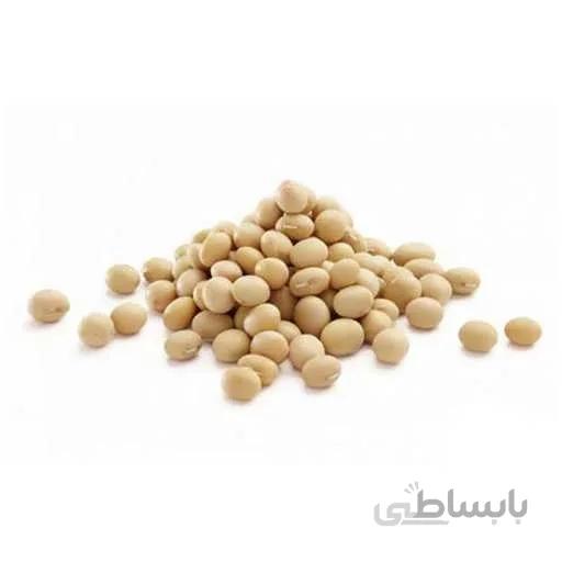 بذر سویا