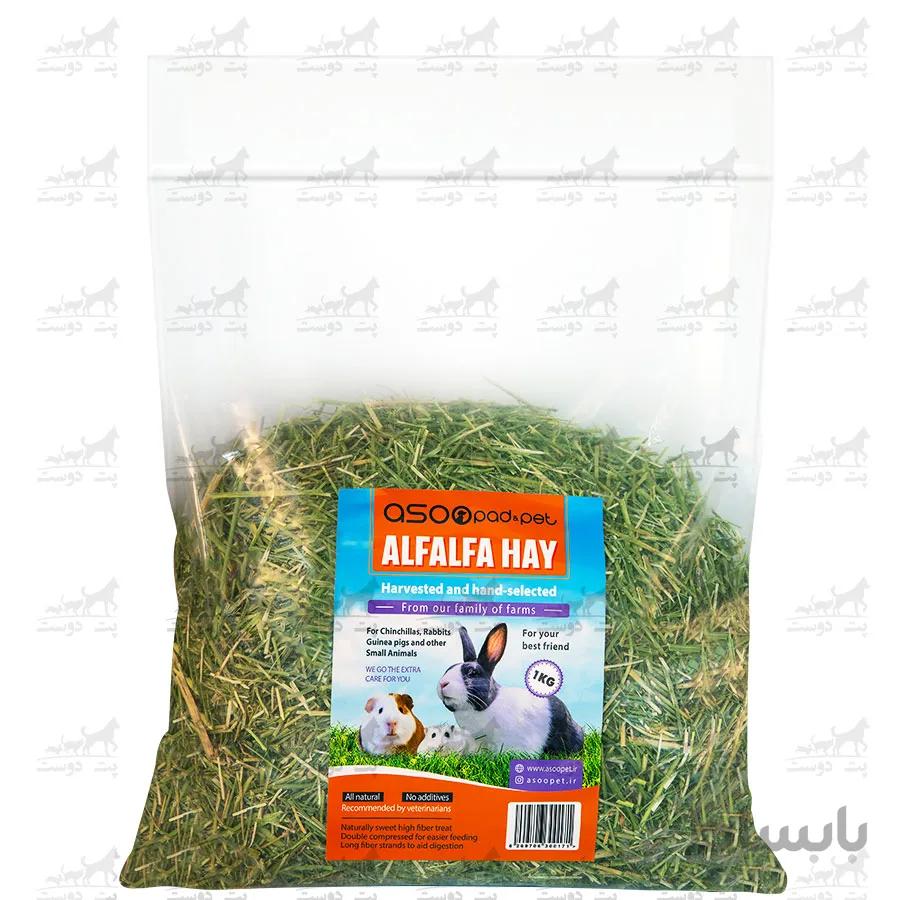 یونجه مخصوص جوندگان مدل Alfa Alfa برند آسو پت ا rodents alfa alfa hay