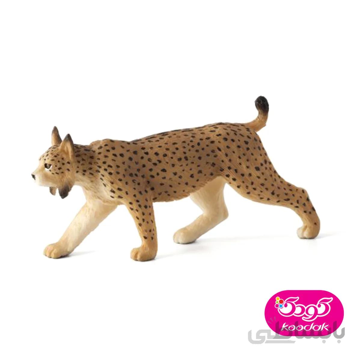 سیاه گوش ایبری 387064 – حیوانات موجو