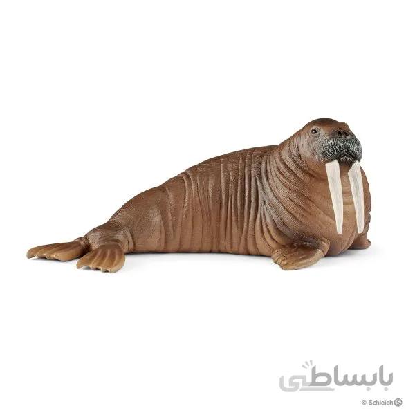 فیل دریایی اشلایش 14803