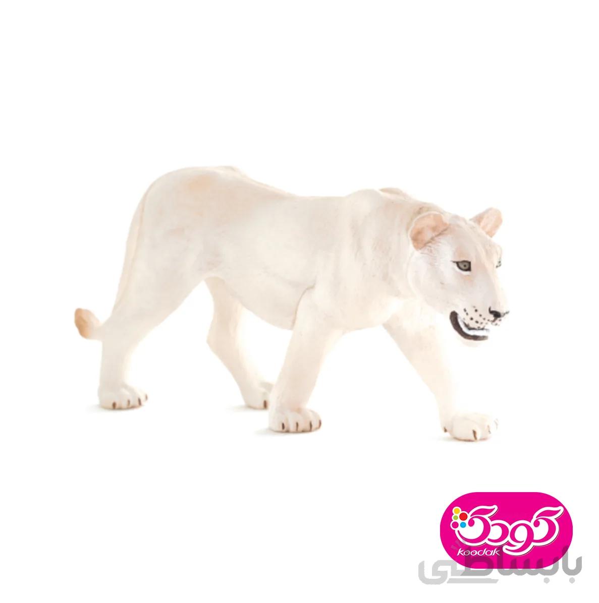 شیر ماده سفید 387207 – حیوانات موجو