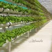 دوره آموزشی نقره ای کشت هیدروپونیک دانش