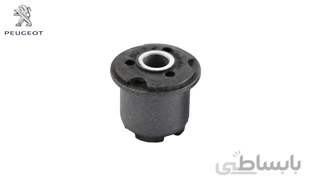 بوش طبق لبه دار پژو پارس