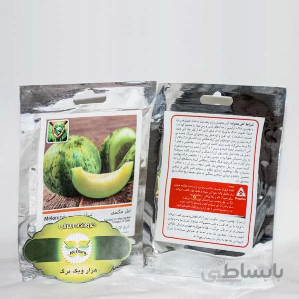 بذر تیل مگسی