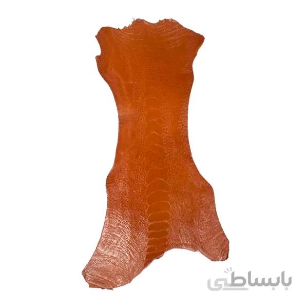 چرم ساق پا شتر مرغ
