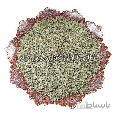 گیاه پنج انگشت