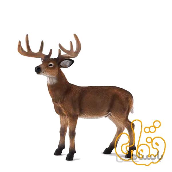 آهو نر دم سفید White Tailed Buck 387038