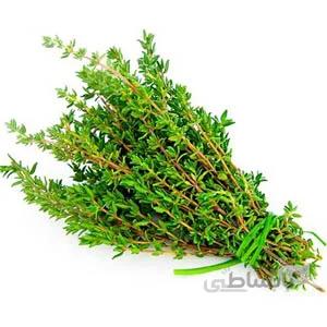 بذر اویشن باغی