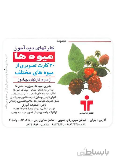 مجموعه کارتهای دید آموز - میوه ها