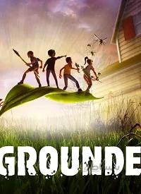 سی دی کی اشتراکی انلاین Grounded