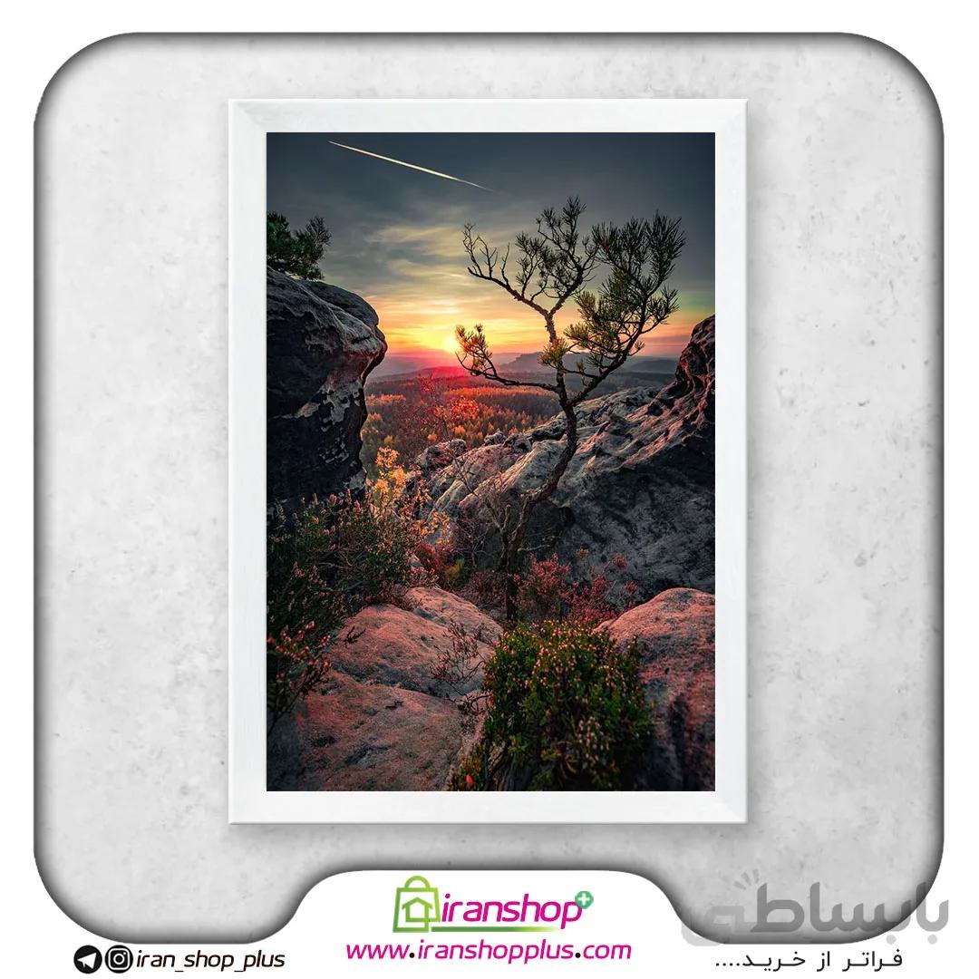 تابلو پوستر درخت تنها Lonely Tree