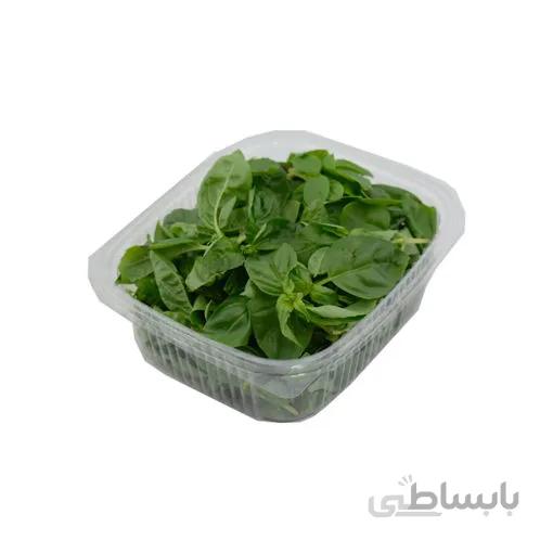 سبزی ریحان ایتالیایی تازه درجه یک - 1 بسته