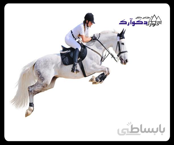 پوستر ورزشی044