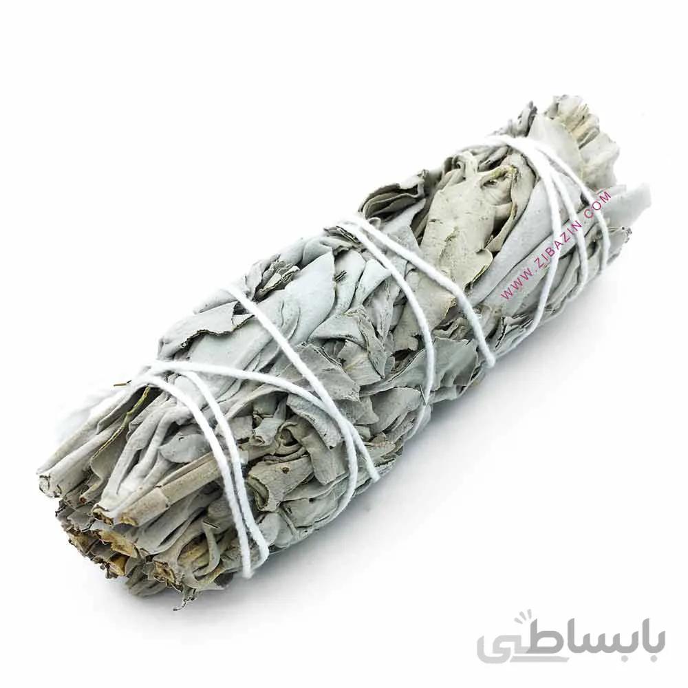 وایت سیج امریکایی