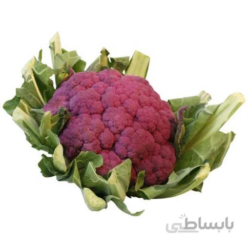 بذر کلم گل بنفش مخملی بسته 20 عددی