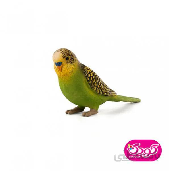 مرغ عشق سبز 387262 – حیوانات موجو