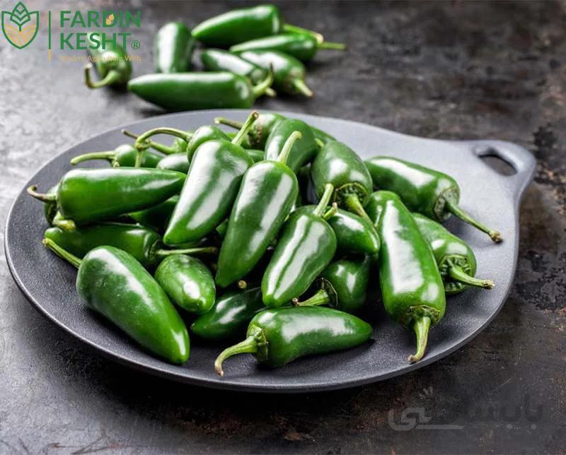 بذر فلفل هالوپینو (جلاپینو) سبز استاندارد ایتالیایی بسته 20 عددی