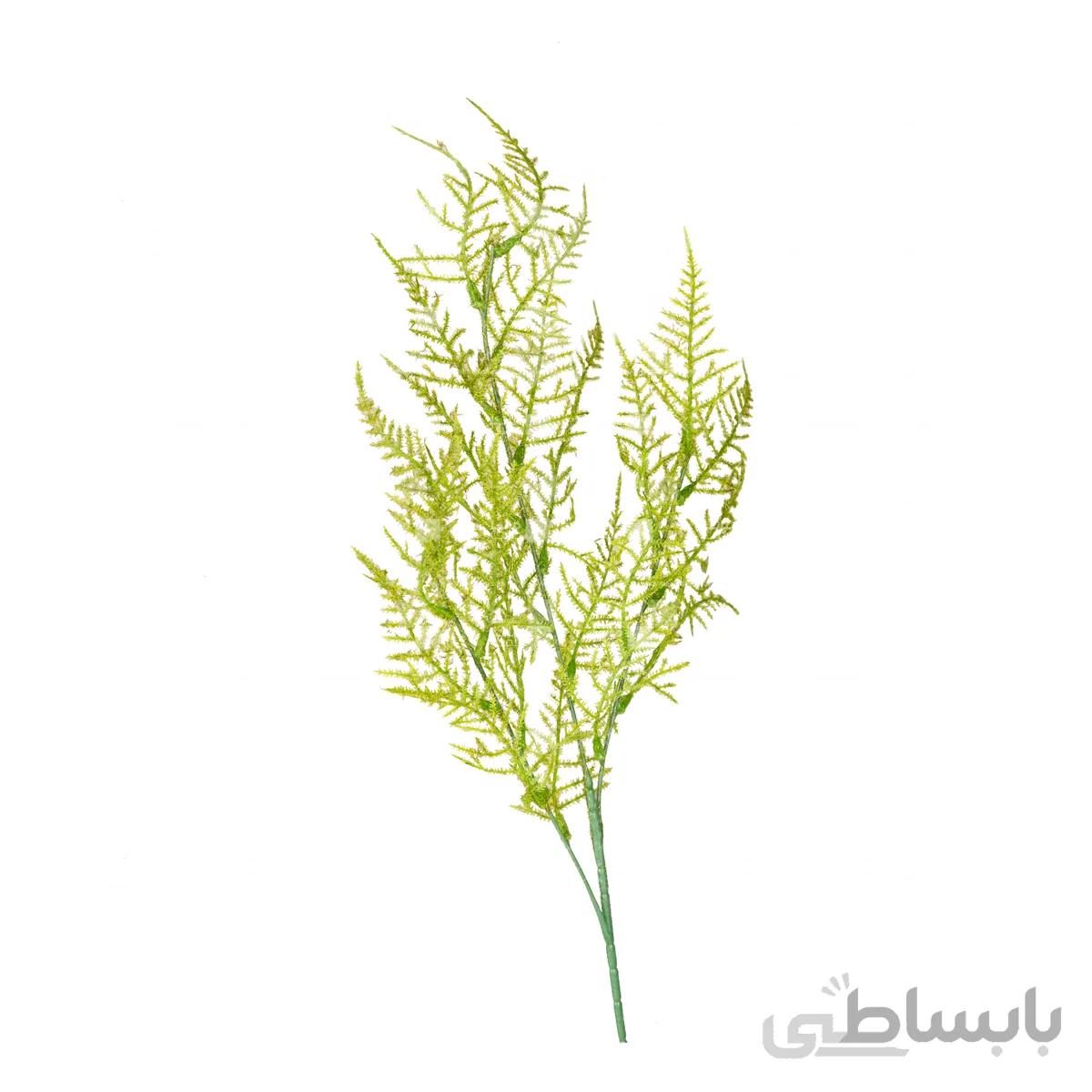 گیاه مصنوعی مدل شوید