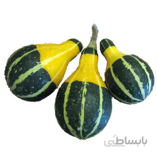 بذر کدو گلابی