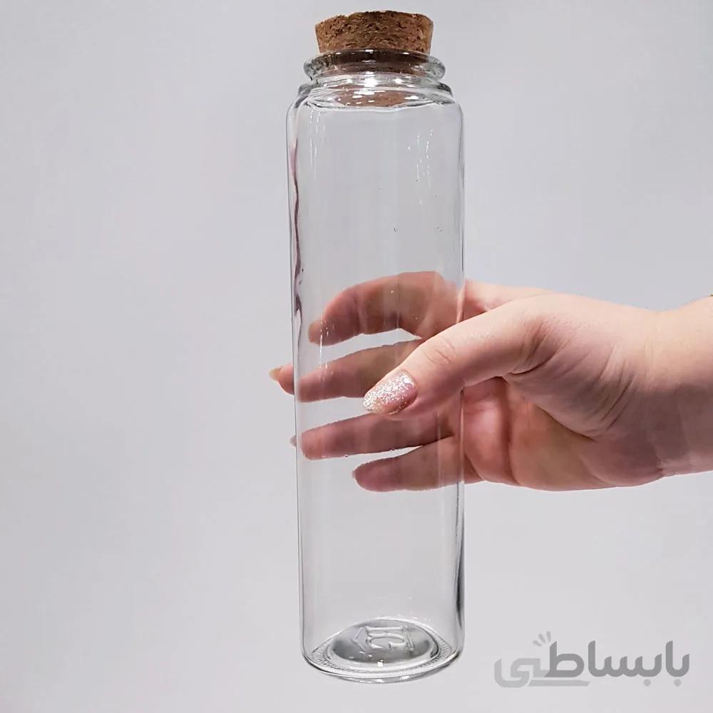 بطری آلپ 25 سانتی