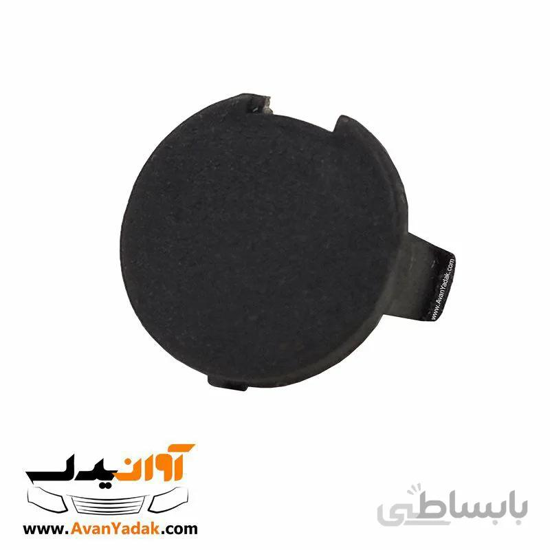 خار کورکن کوچک رودری ساینا و کوییک
