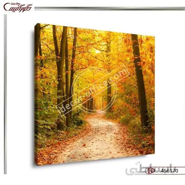 تابلو دکوراتیو طبیعت 6170 ا Nature decorative paintings 6170