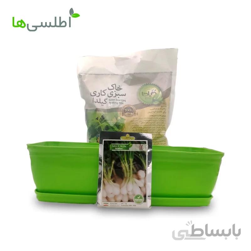 پکیج پیازچه