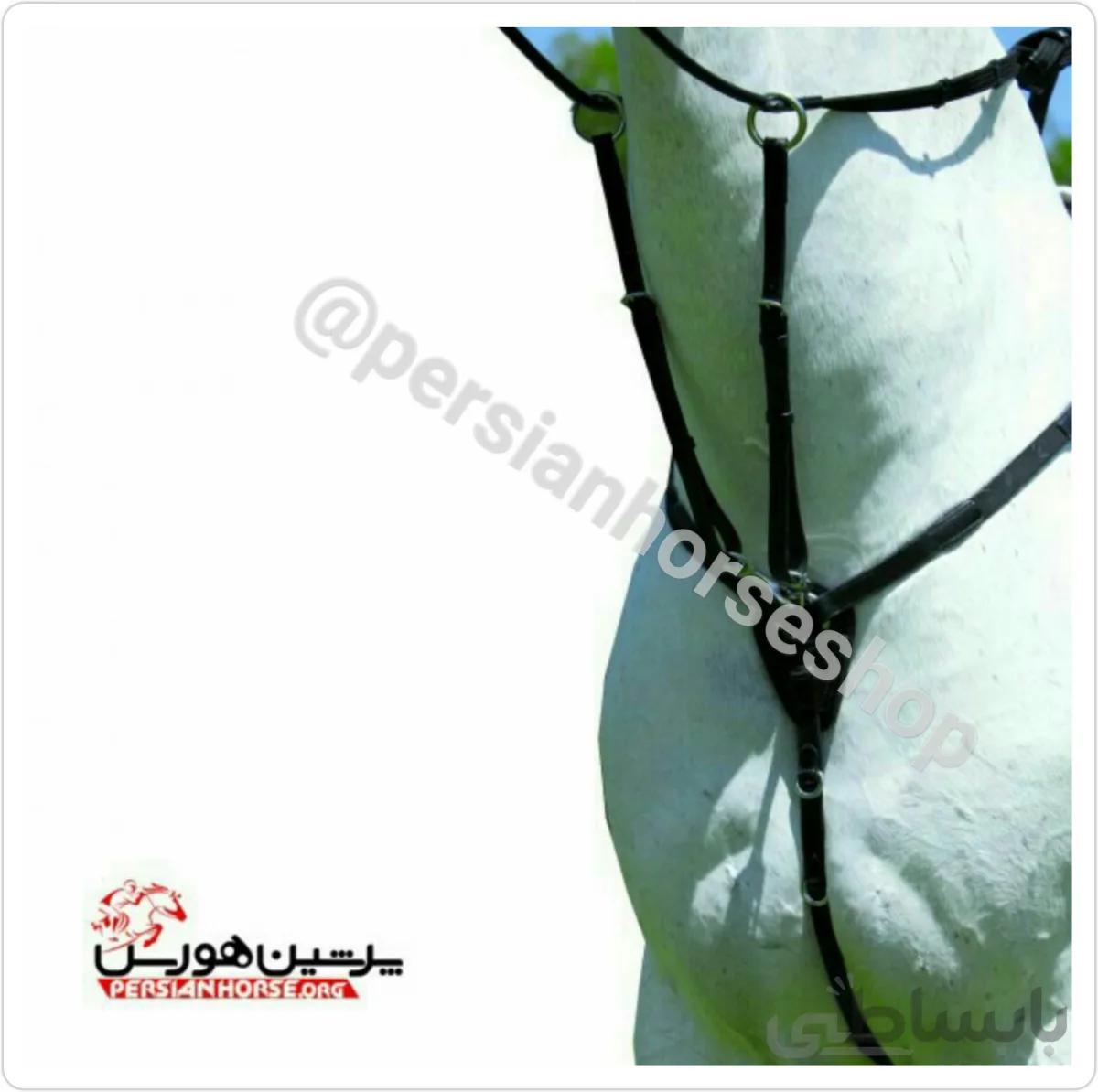 سینه بند تعلیمی چرم
