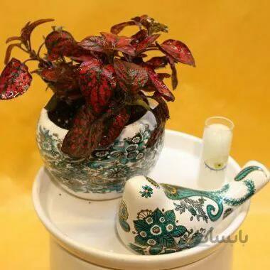 پکیج هدیه گل و پرنده