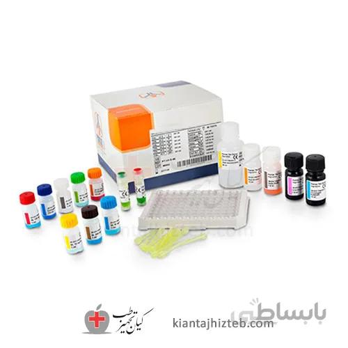 کیت Ferritin برند پیشتاز طب 192 تستی
