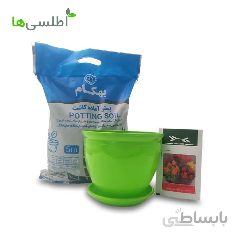 پکیج تاج خروس دم روباهی