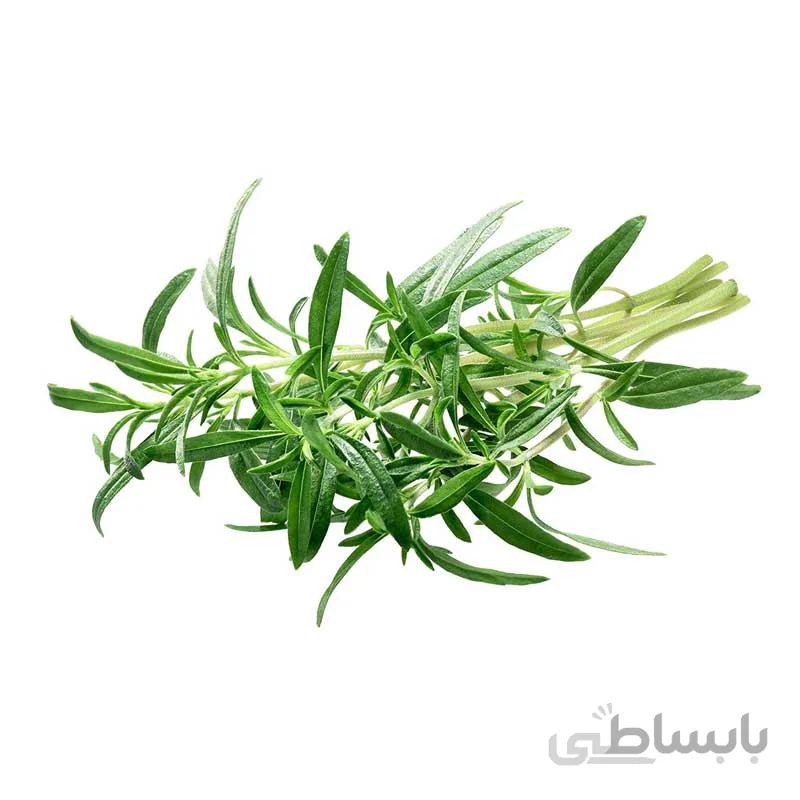 بذر مرزه