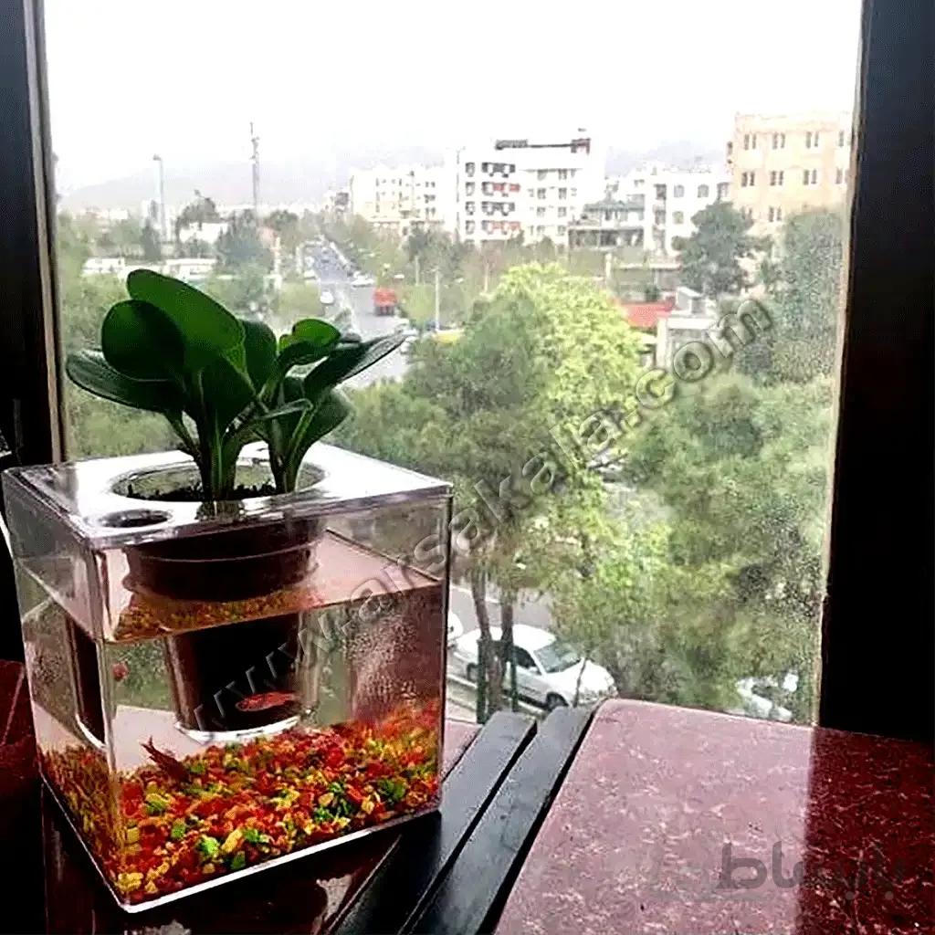 گلدان آکواریم بزرگ 7Green