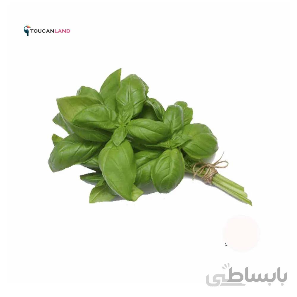 بذر ریحان سبز کد 331279
