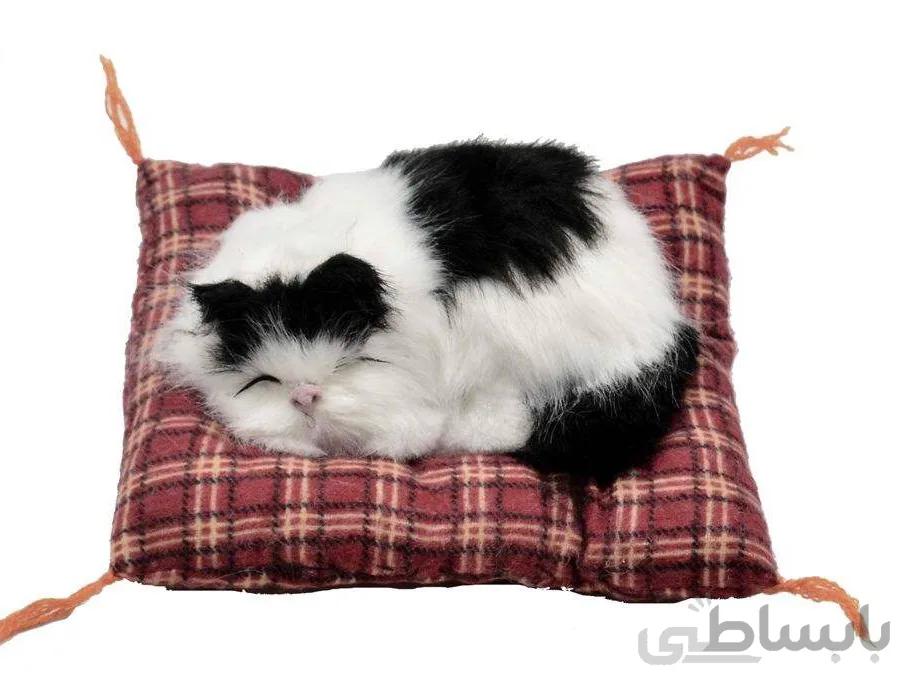 گربه خوابالو