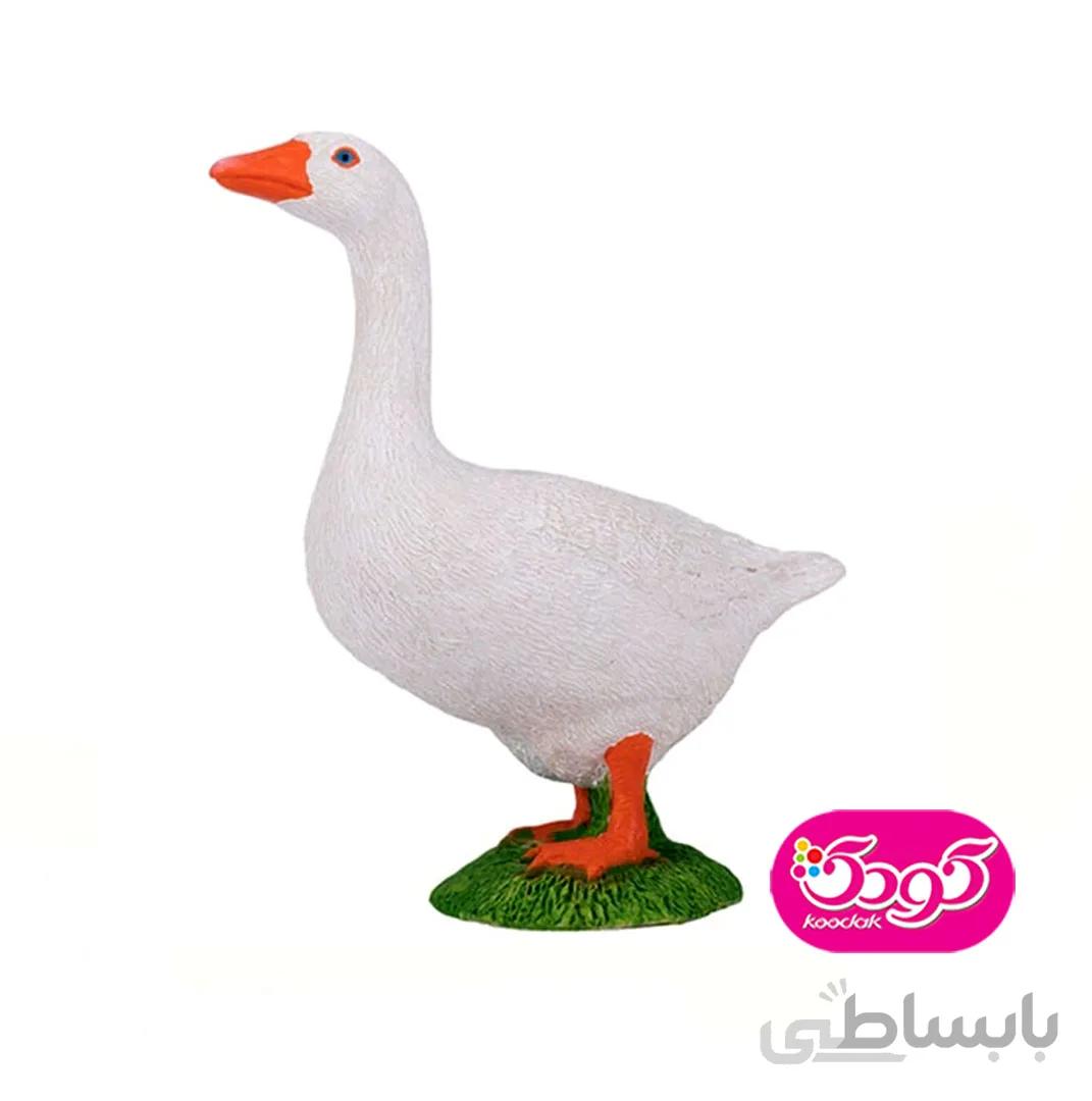 غاز سفید 387377 – حیوانات موجو
